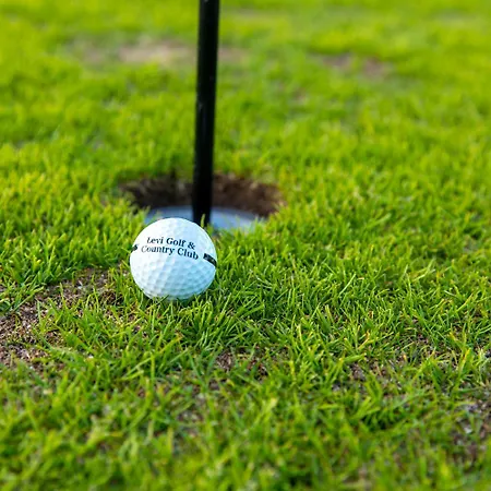 In Lapland - Sointuilevi4 A59 * 列维